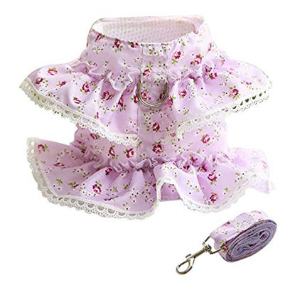 Picture of 2 Pack Dog Dress Harness Vest with Leash, Pet Flower Outfit Clothes Spring Summer, Cute Puppy Harness Leash Set, Doggy Lace Princess Costume for Outdoor Walking, Clothing for Small Medium Girl Cat Dog