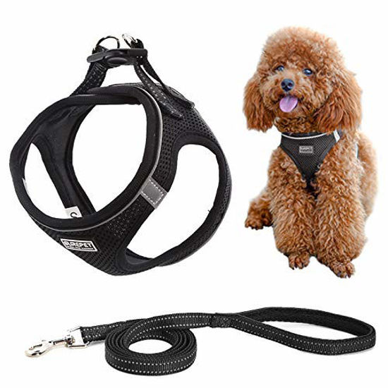 Medium deals dog harness