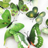 Picture of 36pcs 3D Colorful Butterfly Wall Stickers DIY Art Decor Crafts for Party Nursery Classroom Offices Kids Girl Boy Baby Bedroom Bathroom Living Room Magnets and Glue Sticker Set (GREEN-single wing)