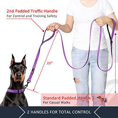 Basic 6 Ft Dog Training Walking Leash with 2 Padded Handles Double Dog Leash for 2 Dogs Dual Dog Leash for Two Dogs 
