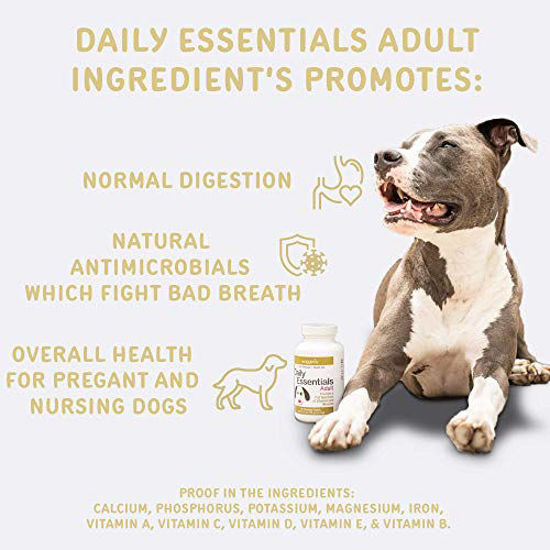 GetUSCart waggedy Adult Chewable Dog Vitamins for All Breeds