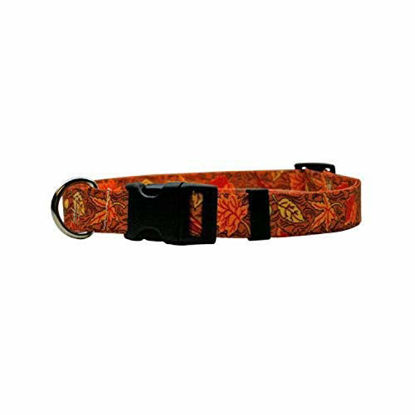 Picture of Yellow Dog Design Fall Leaves Dog Collar 3/8" Wide and Fits Neck 4 to 9"