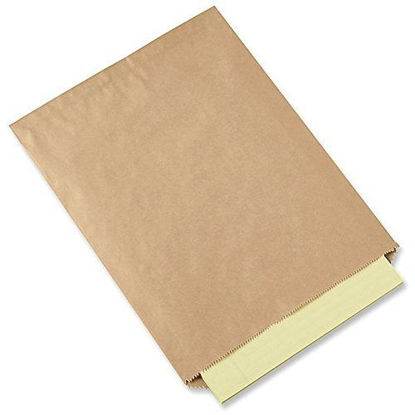 Picture of Flexicore Packaging Flat Brown Kraft Paper Bags Size: 12 Inch Wide X 15 Inch High | Count: 100 Bags | Color: Brown