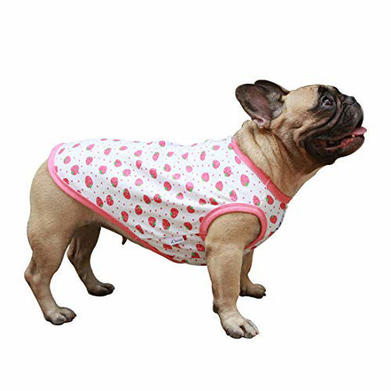 Pitbull clearance clothes size