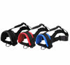Picture of Lepark Head Strap Dog Muzzle Prevent from Taking Off by Paws for Small, Medium and Large Dogs(S, Blue)