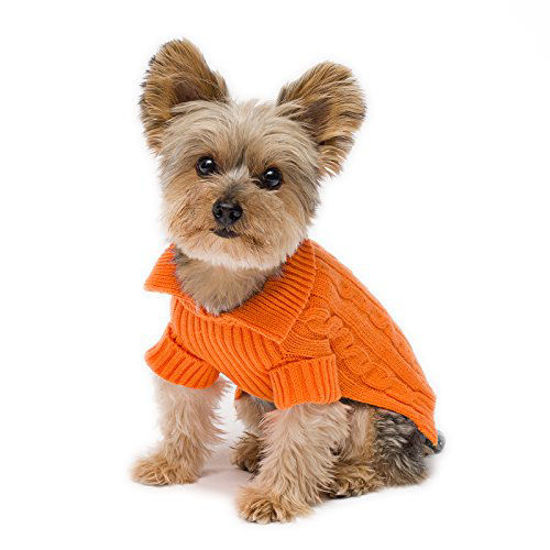 Stinky g hotsell dog clothes