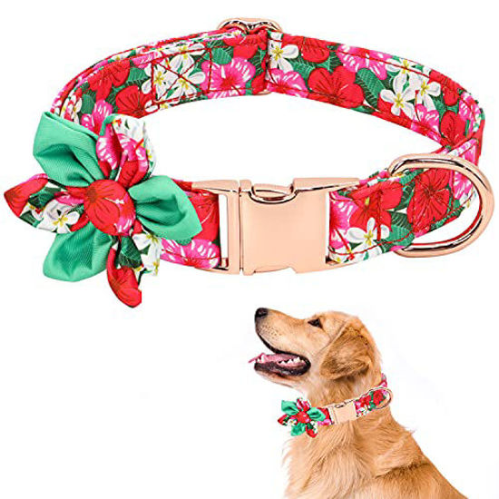 Girl Dog Collars for Puppies Small Medium Large Dogs, Cute Green Dog Collar  for Female Dogs with Adjustable Flower and Bow tie with Dog Tag & Strong  Metal Buckle, Fit Necks(M) 