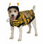 Picture of Rubie's Bumble Bee Pet Costume, Small