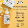 Picture of Lemon Verbena Foaming Hand Wash by South of France Natural Body Care | Hydrating Organic Agave Nectar Soap | 8 oz Pump Bottle - 3 Pack