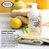 Picture of Lemon Verbena Foaming Hand Wash by South of France Natural Body Care | Hydrating Organic Agave Nectar Soap | 8 oz Pump Bottle - 3 Pack
