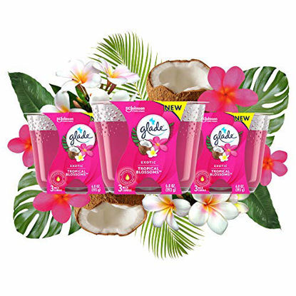 Picture of Glade Candle Exotic Tropical Blossoms, Fragrance Candle Infused with Essential Oils, Air Freshener Candle, 3-Wick Candle, 6.8 Oz, 3 Count