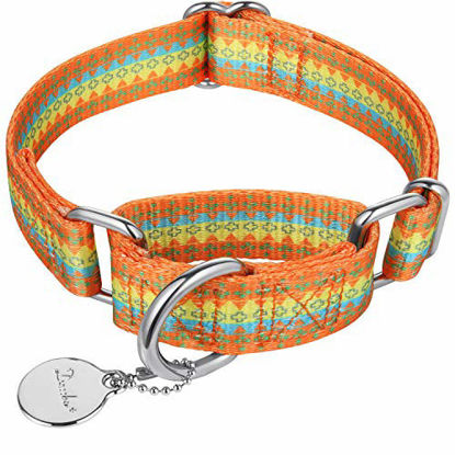 Picture of Dazzber Fashion Print and Unique Geometric Pattern Martingale Dog Collar, Silky Soft Safety Training Collars for Small to Large Dogs (Medium, 1 Inch Wide, Orange Yellow and Green)