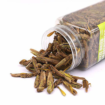 Picture of 3OZ Freeze Dried grasshopper Reptile Food For Turtles, Bearded Dragon, Hedgehog ,Lizard, Chameleon, Birds