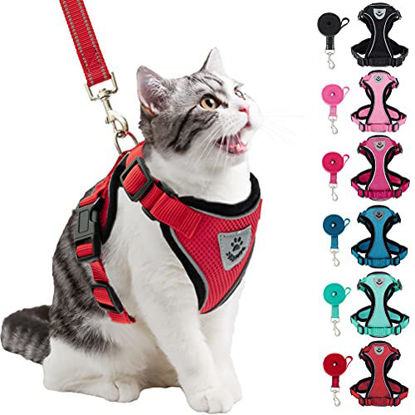 https://www.getuscart.com/images/thumbs/0915519_pupteck-cat-harness-and-leash-set-adjustable-vest-escape-proof-harness-for-kitten-small-medium-cats-_415.jpeg