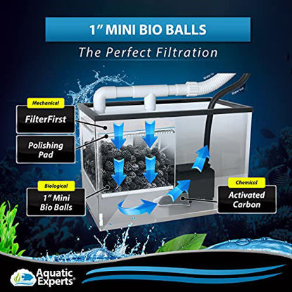 Picture of Aquatic Experts New Bio Balls Filter Media - 1 Inch Small Bio Ball for Aquarium and Pond Filter - Perfect Bio Balls for Aquarium Filter Media - Made in The USA (125 Count with Mesh Bag)