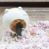 Picture of Marchul Hamster Hideout, House Habitats Decor for Hamsters Gerbils(White)