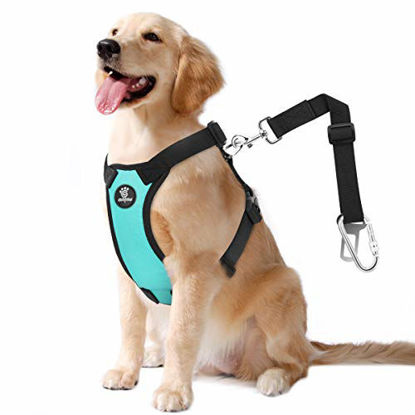Picture of VavoPaw Dog Vehicle Safety Vest Harness, Adjustable Soft Padded Mesh Car Seat Belt Leash Harness with Travel Strap and Carabiner for Most Cars, Large Size, Blue