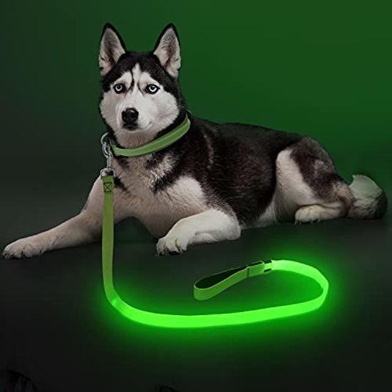 Picture of LED Dog Leash Light Up Dog Leash Micro USB Rechargeable Waterproof Nylon Webbing Glow Safety Standard Dog Leash for Dogs (Green)
