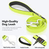 Picture of LED Dog Leash Light Up Dog Leash Micro USB Rechargeable Waterproof Nylon Webbing Glow Safety Standard Dog Leash for Dogs (Green)