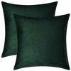 Picture of Mixhug Decorative Throw Pillow Covers, Velvet Cushion Covers, Solid Throw Pillow Cases for Couch and Bed Pillows, Dark Green, 20 x 20 Inches, Set of 2
