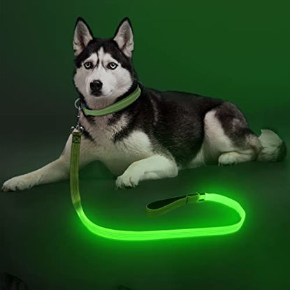 Picture of LED Dog Leash Light Up Dog Leash Micro USB Rechargeable Waterproof Nylon Webbing Glow Safety Standard Dog Leashes for Dogs (Green with 3 Reflective Wires)