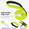Picture of LED Dog Leash Light Up Dog Leash Micro USB Rechargeable Waterproof Nylon Webbing Glow Safety Standard Dog Leashes for Dogs (Green with 3 Reflective Wires)