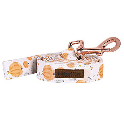 Picture of Lionheart glory Halloween Strong Dog Leash, Durable Dog leashes with Soft Handle for Walking Training Small Male or Female Dogs