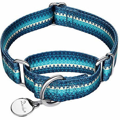 Picture of Dazzber Fashion Print and Unique Geometric Pattern Martingale Dog Collar, Silky Soft Safety Training Collars for Small to Large Dogs (Medium, Turquoise)