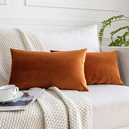 Picture of JUSPURBET Velvet Throw Pillow Covers for Sofa Couch Bed,Decorative Soft Pillow Cases Set of 2,16x24 Inches,Rust