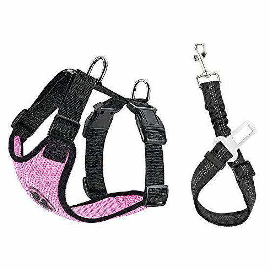 Slowton sales dog harness