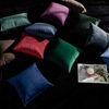 Picture of JUSPURBET Christmas Decorative Velvet Throw Pillow Covers for Sofa Couch Bed,Pack of 2 Luxury Soft Cushion Cases,20x20 Inches,Dark Green