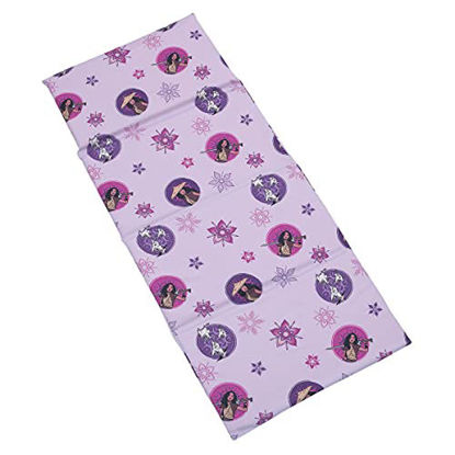 Picture of Disney Raya & The Last Dragon Mythic Pop with Ongis Lavender, Purple, & Magenta Flowers Preschool Nap Pad Sheet, Lavender, Purple, Magenta, Tan