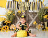 Picture of Bee Theme High Chair Banner - Baby First Birthday Party Banner - Smash Cake Photo Prop - 1st Birthday Photo Backdrop (Bee)