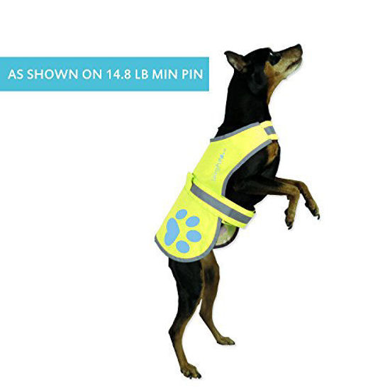 GetUSCart Dog Reflective Vest, Sizes to Fit Dogs 14 lbs to 130 lbs