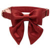 Picture of Lionet Paws Bowtie Dog Collar - Comfortable Silk Dog Collar with Detachable Bow Tie for Medium Dogs, Neck 13.5-22 Inches