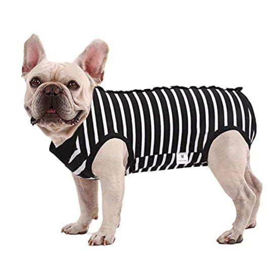 Dog surgery deals recovery shirt