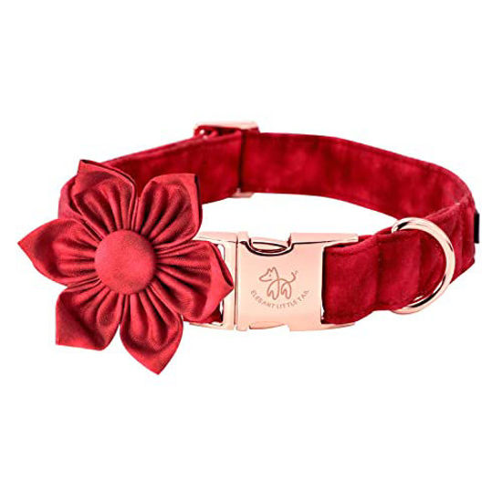 Small boy online dog collars