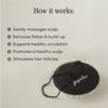 Picture of Jupiter Scalp Brush - Scalp Exfoliator - Wet or Dry Detangling Brush - Removes Excess Build-Up - Safe for All Hair Types - Ergonomic Scalp Massager