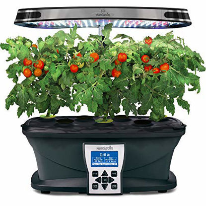 Picture of Miracle-Gro AeroGarden Red Heirloom Cherry Tomato Seed Pod Kit (7-Pods)