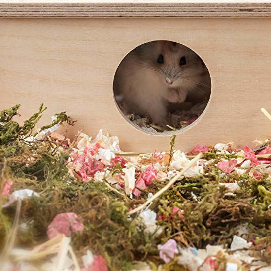 Image showcasing GetUSCart- Niteangel Multi-Chamber Hamster House Maze: - Multi-Room ...