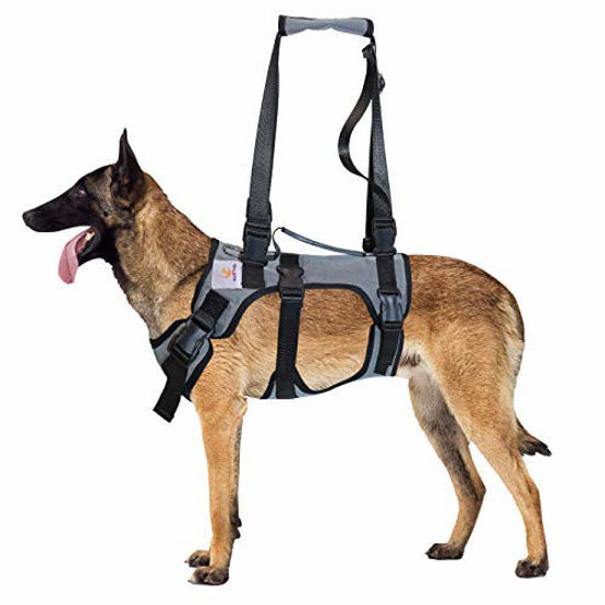 GetUSCart- PET FRIENDZ Dog Lifting Harness for Front and Rear Legs ...
