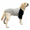 Picture of Lucky Petter Dog Cotton Shirts for Small and Large Dogs Raglan T-Shirts Soft Breathable Dog Shirt pet Clothes (X-Large, Gray/Black)