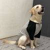 Picture of Lucky Petter Dog Cotton Shirts for Small and Large Dogs Raglan T-Shirts Soft Breathable Dog Shirt pet Clothes (X-Large, Gray/Black)