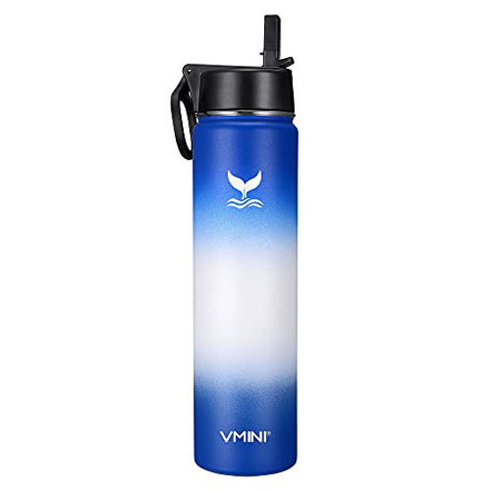 https://www.getuscart.com/images/thumbs/0934194_vmini-water-bottle-with-straw-wide-rotating-handle-straw-lid-wide-mouth-vacuum-insulated-stainless-s_550.jpeg