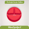 Picture of WeeSprout Suction Plates for Babies & Toddlers - 100% Silicone, Plates Stay Put with Suction Feature, Divided Design for Picky Eaters, Microwave, Dishwasher & Oven Friendly, 3 Pack
