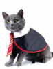 Picture of Impoosy Halloween Cat Costume Small Dog Wizard Pet Clothes Cute Apparel Puppy Shirts with Glasses (Small)