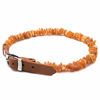 Picture of 2530 Standard Amber Collar for Dog or a cat with Leahter Buckle. Amber Collars for Dogs and Cats Natural Fashion Collar