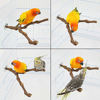 Picture of kathson Natural Parrot Perch Bird Stand Pole Wild Grape Stick Paw Grinding Fork Parakeet Climbing Standing Branches Toy Chewable Cage Accessories for Small Budgies Cockatiels Lovebirds 3PCS