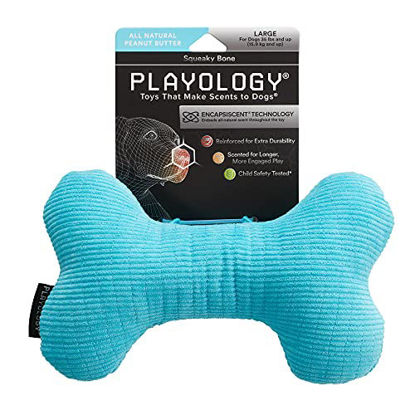 Picture of PLAYOLOGY Plush - Squeaky Bone - Large - Engaging All-Natural Peanut Butter Scent