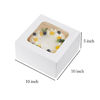 Picture of 10x10x5 Inches Cake Boxes with Window White Bakery Pastry Box for Cookies, Pie, Pastries, Cupcakes,Pack of 10